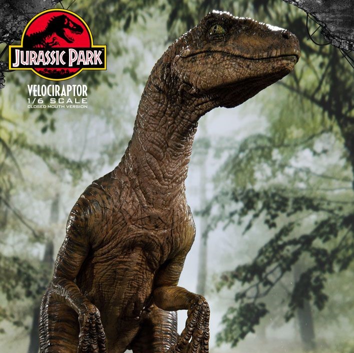 velociraptor dimensions